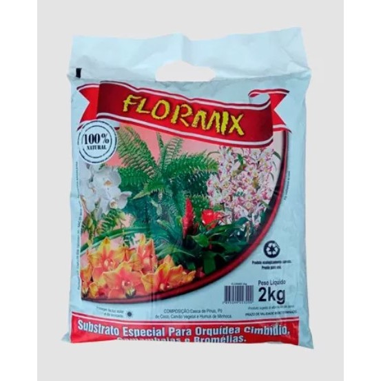 Bromélias para Jardim: Onde Comprar | BuscaProdutos