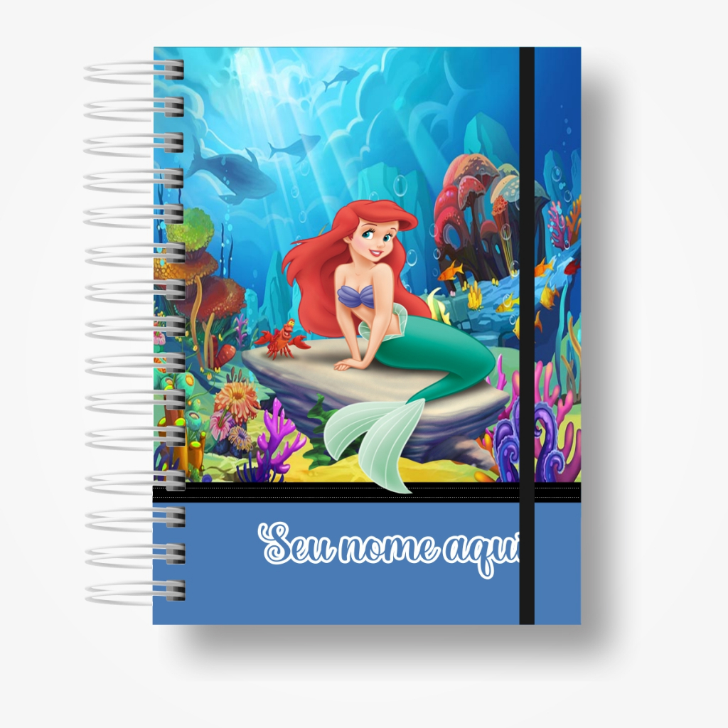 Agenda Escolar Infantil Princesas: Onde Comprar | BuscaProdutos