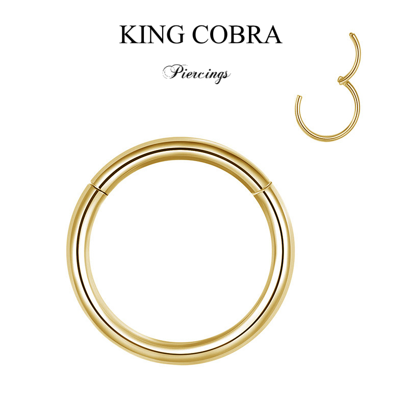 Argola Segmentada Lisa: Onde Comprar | BuscaProdutos