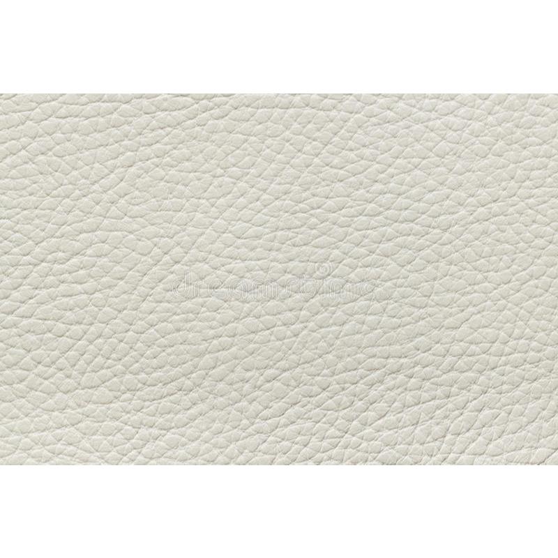 Courvin Automotivo Com 1,40m De Largura - 6 Metros Comprimento