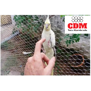 Tela Arame Galvanizado Viveiro Pinteiro Aves Calopsita Pintinho Pequeno Porte em Oferta na Shopee