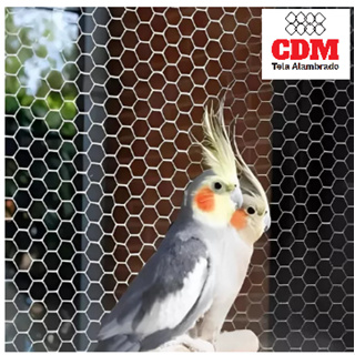 Tela Arame Galvanizado Viveiro Pinteiro Aves Calopsita Pintinho Porte Pequeno em Oferta na Shopee