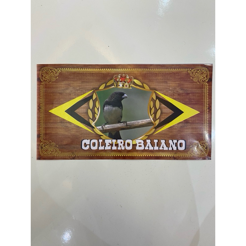 FUNDO PERSONALIZADO PARA GAIOLAS DE COLEIRO BAIANO