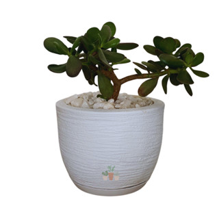 Vaso para Planta Redondo Bojo Grafiato 20 cm de altura em Oferta na Shopee