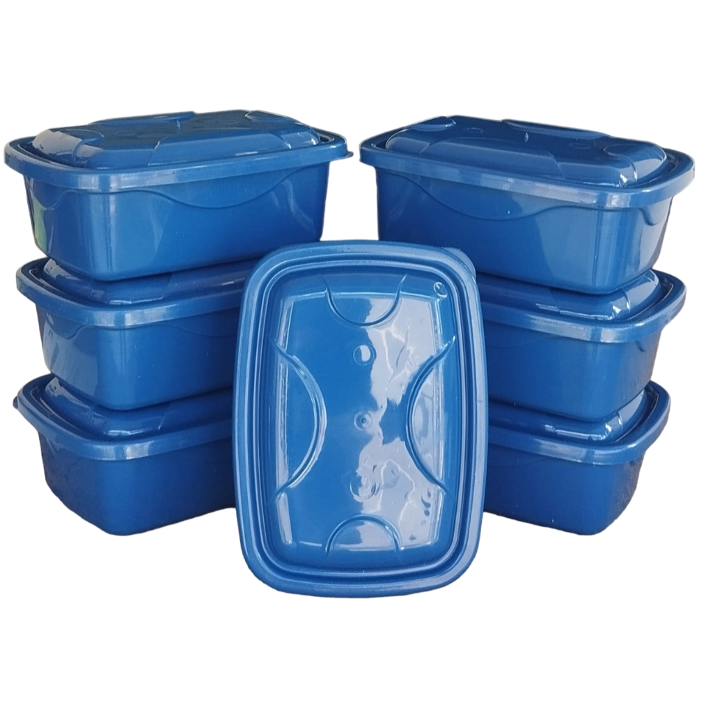 CONJUNTO DE 10 POTES  RECIPIENTES VASILHAS ORGANIZADOR DE ALIMENTOS DE 700 ML COLORIDOS /MICROONDAS