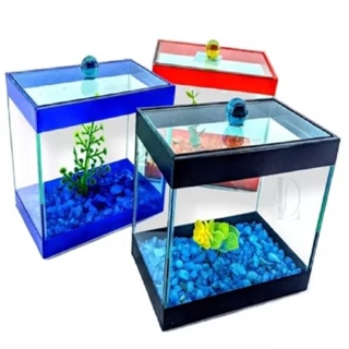 Aquário decorativa Beteira Tubular 15x9x13cm Retangular Decorada Peixe betas ornamental cascalho e plantas em Oferta na Shopee
