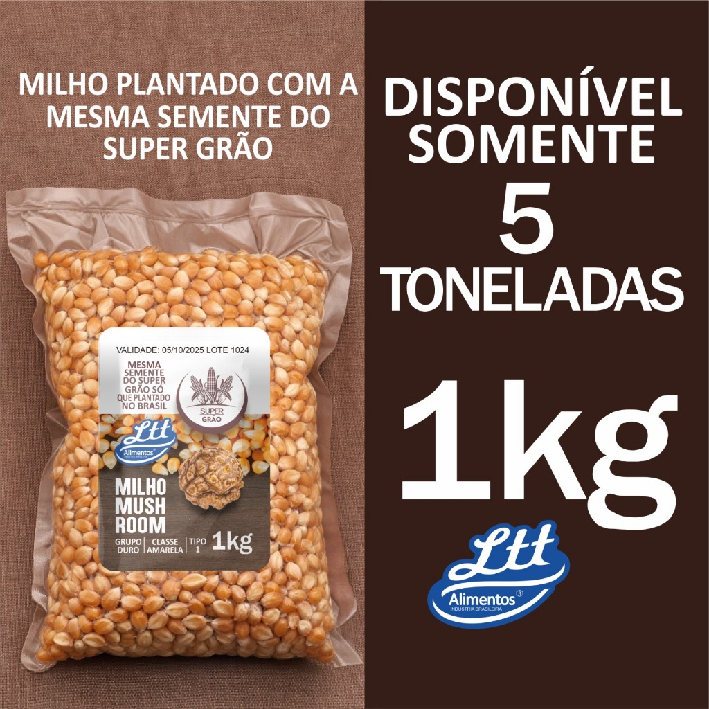 Milho Mushroom 1 Kilo Super Grao Milho Mushroom 1 Kilo Super Grao