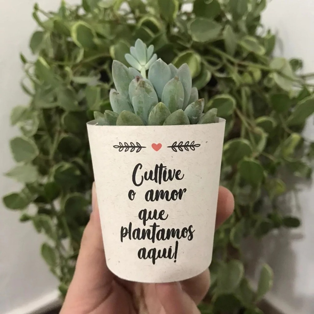 Rótulos  Brancos para Suculentas P6 Personalizada para lembrancinhas,casamentos batizado aniversario festa confraternização