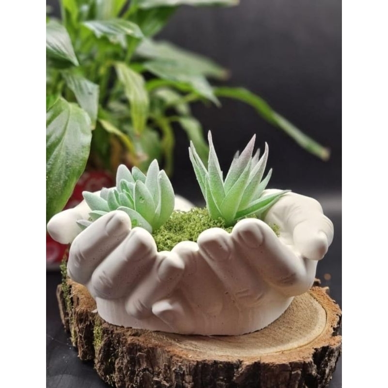 Porta jóias aparador de velas vaso de plantas suculentas folhagem decoração casa escritório quarto sala