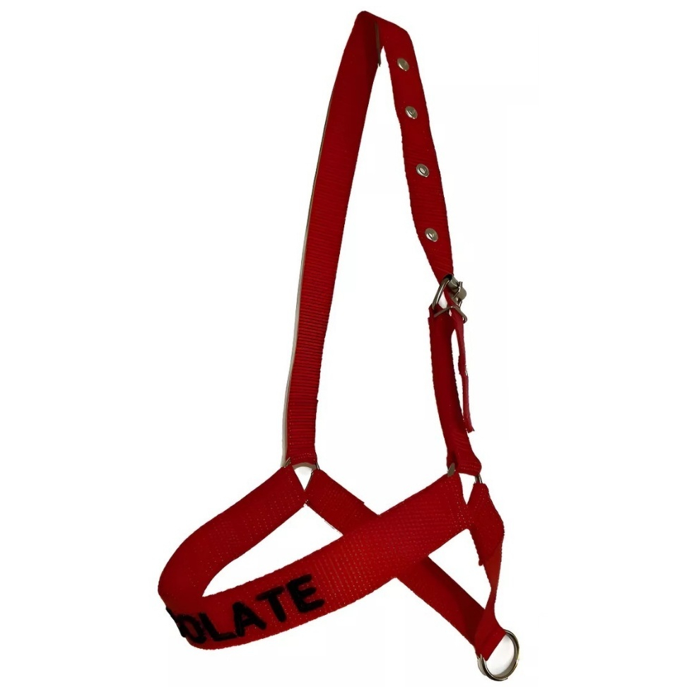 Cabresto PERSONALIZADO Fabricado em Fita para Bezerro Varias Cores!! em Oferta na Shopee