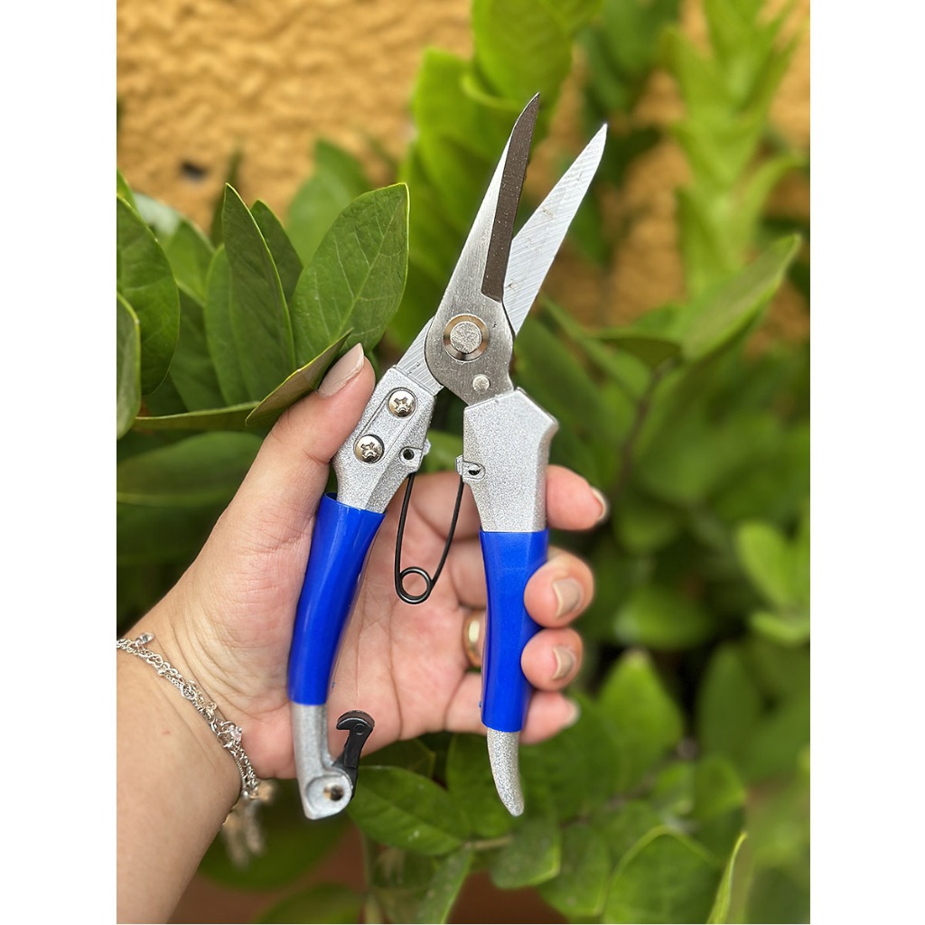 Tesoura Poda Jardim Bico Trava Mola 200mm Alpe & Aritana em Oferta na Shopee
