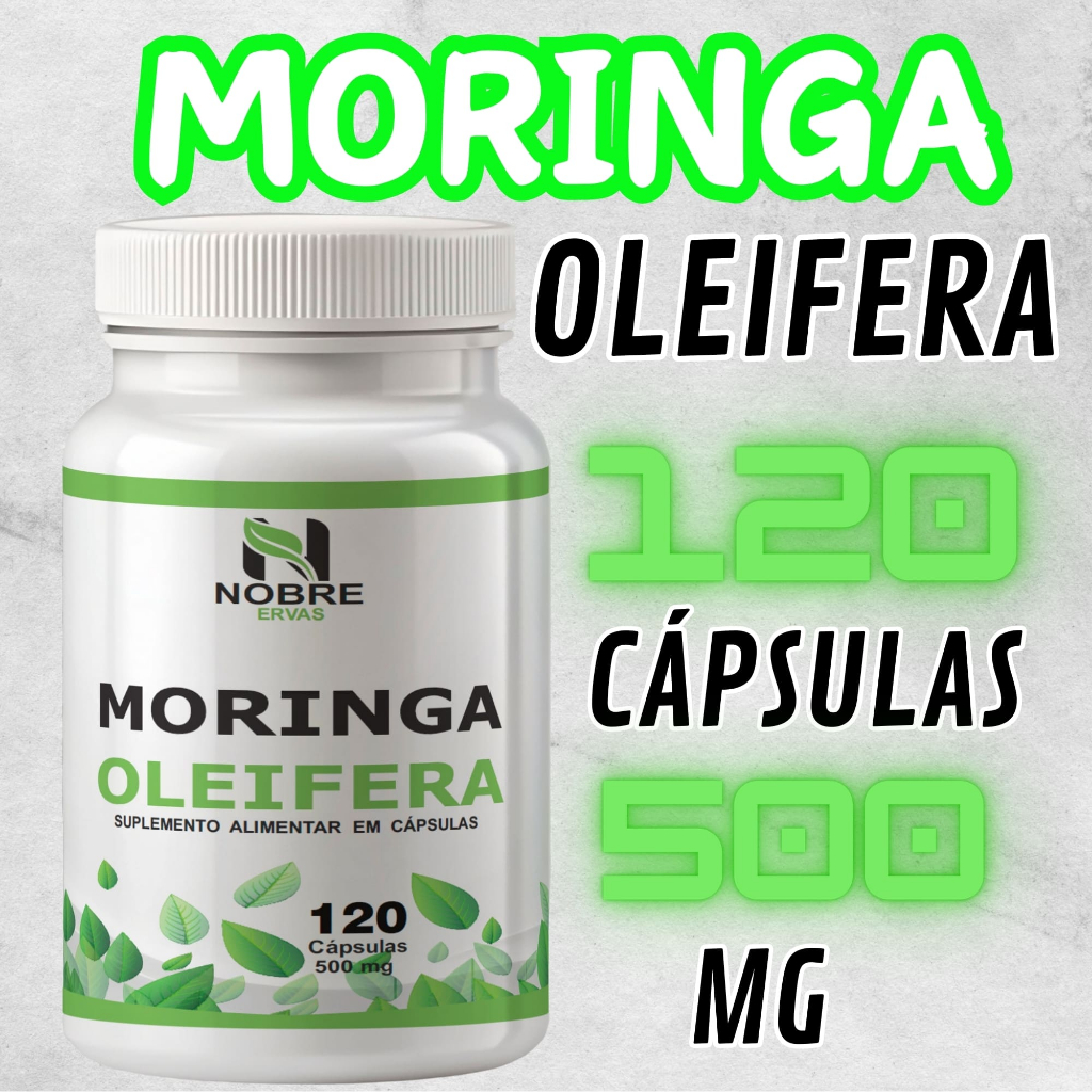 Suplemento de Moringa oleifera planta da vida