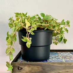 Kit 6 Vaso Plantas Autoirrigável Vaso Antidengue Auto Irrigável Flores Hortas Vaso Escolha as Cores