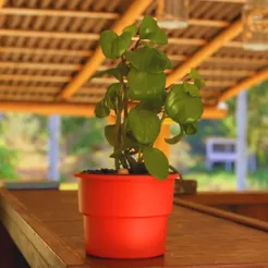 Kit 4 Vaso Plantas Autoirrigável Vaso Antidengue Para Flores Hortas Vaso Cachepô - Escolha as Cores