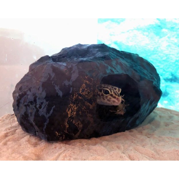 Toca réptil gecko lagarto cobra snake corn animal terrário