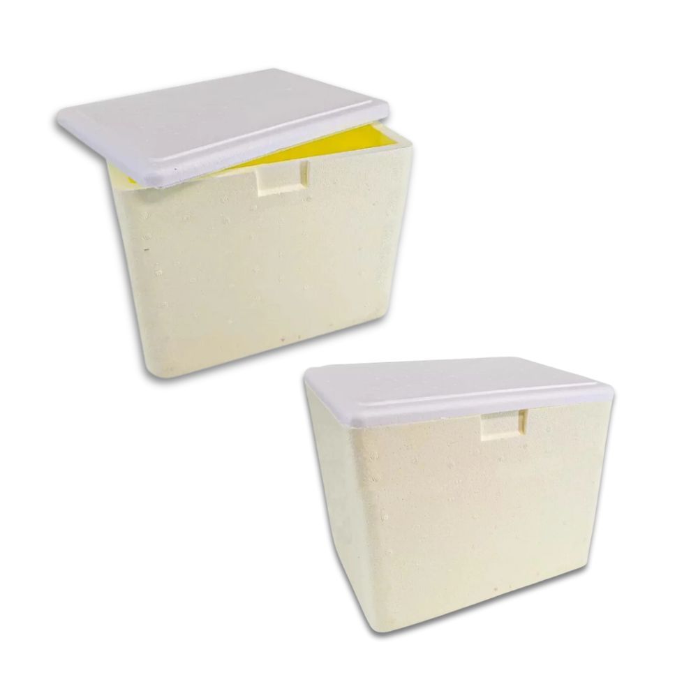 CAIXA DE ISOPOR 8L KG GELO SORVETE MED - ISOTERM