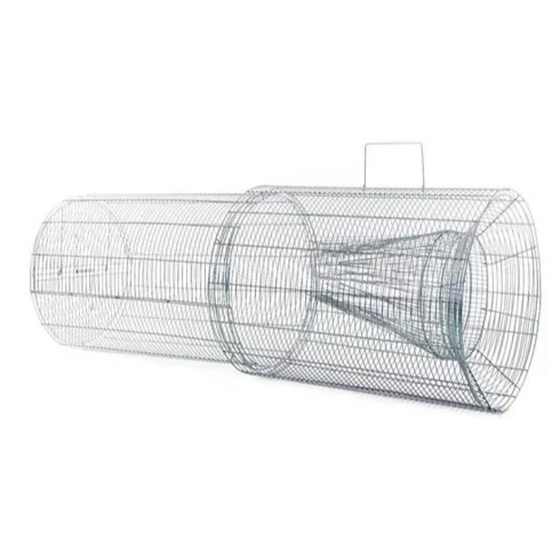 Armadilha para Pescar Peixe: Onde Comprar | BuscaProdutos