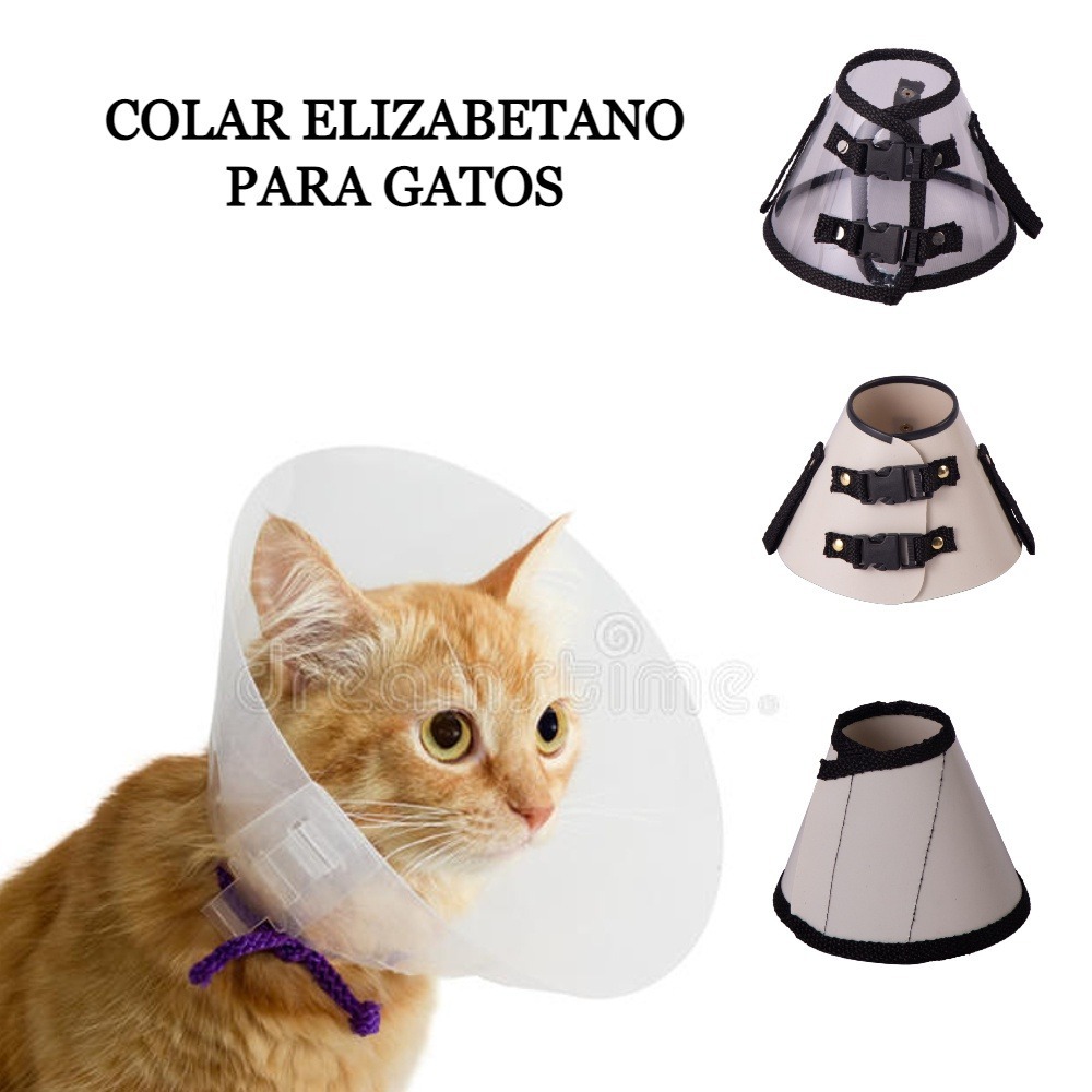 JOGO COLAR ELIZABETANO P/GATOS C/3