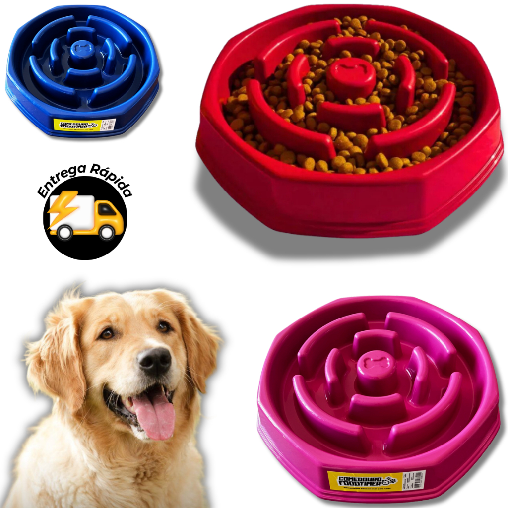 Border Collie: Guia Completo e Onde Comprar | BuscaProdutos