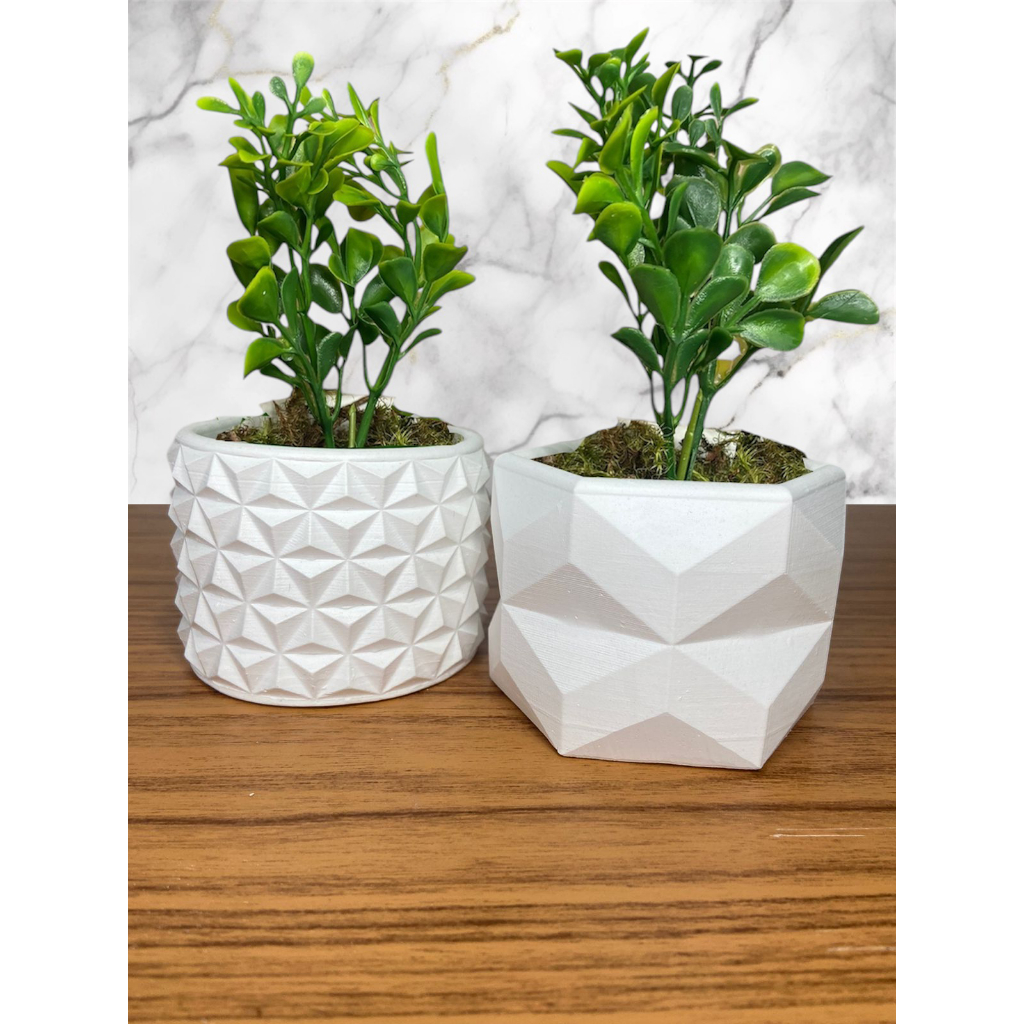 Kit 2 Unidades Vaso decorativo de Gesso Texturizado Com Plantas Para Suculentas, Cactus e Plantas