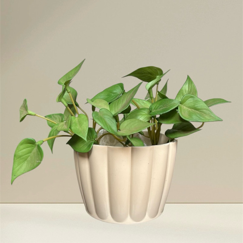 Cachepot Vaso para Plantas Moranga N2