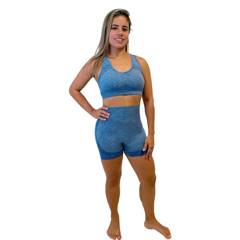 Conjunto Shorts e Top Feminino Sem Costura Para Dia a Dia e Academia