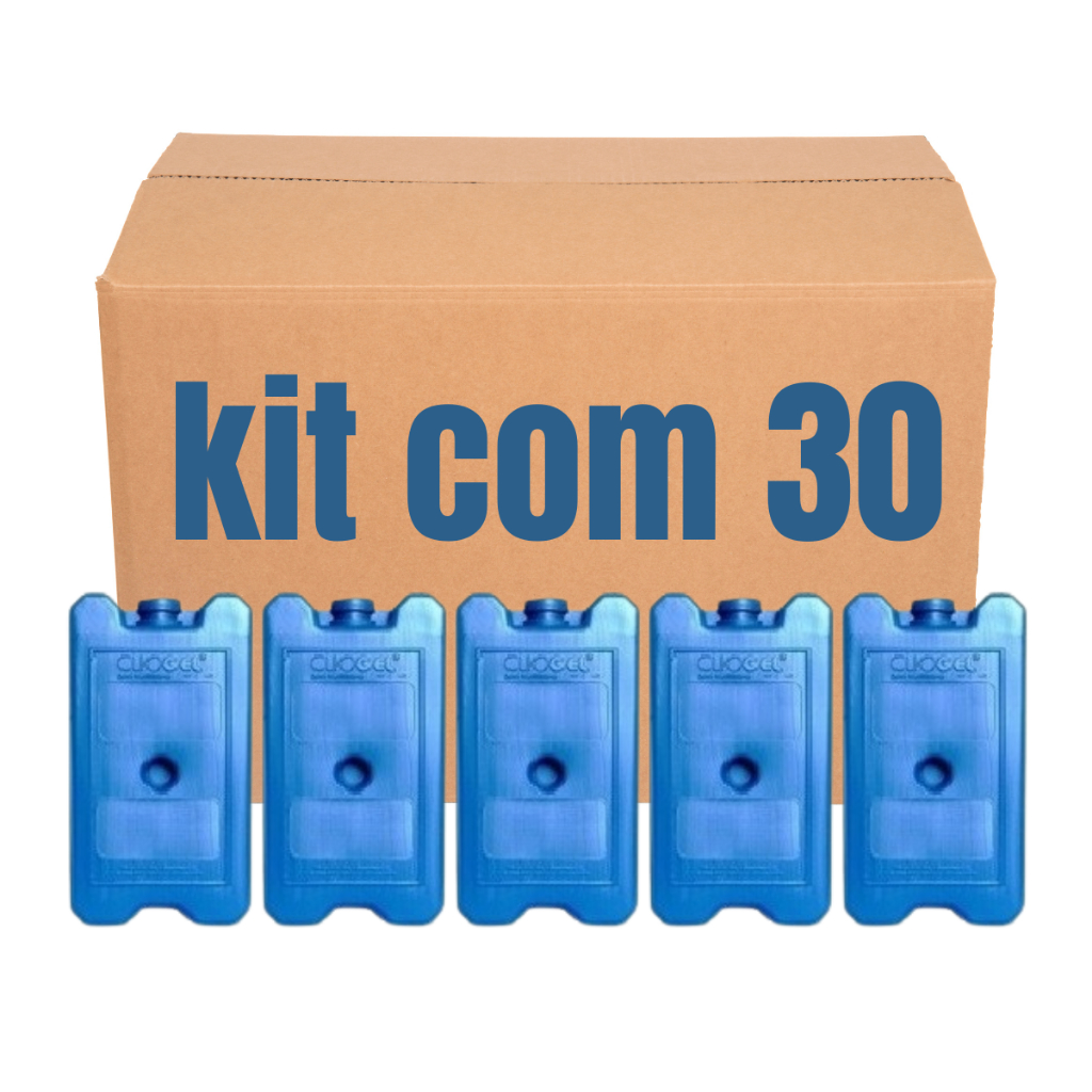 Kit 30 Gelo Reutilizável Artificial 200 Ml Ideal Cooler Bebidas Caixa Térmica Lancheira Refrescos Gelados em Oferta na Shopee