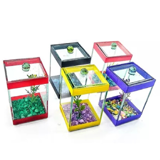 10 Beteiras 10X10X15cm Vidro Aquários Decorado Peixes Beta em Oferta na Shopee
