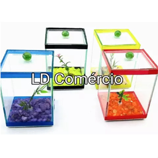 1 Aquário Beteira 10x10x15 Decorada C/ Enfeites Betas Peixes em Oferta na Shopee