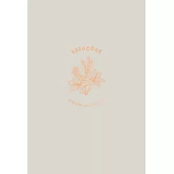 Planner Estações | Viviane Martinello | Capa Bege | Editora Vida