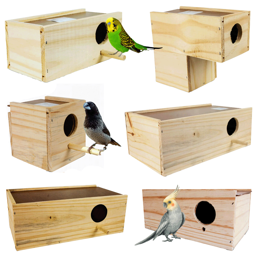 O que é Ninho de Calopsita? Guia e Onde Comprar | BuscaProdutos