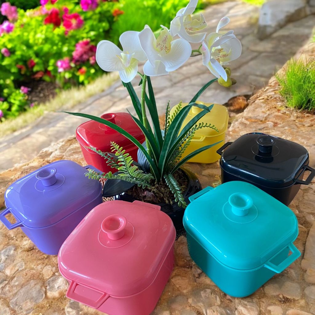 kit 6 unidades Panelas Caçarolas de microondas em Oferta na Shopee