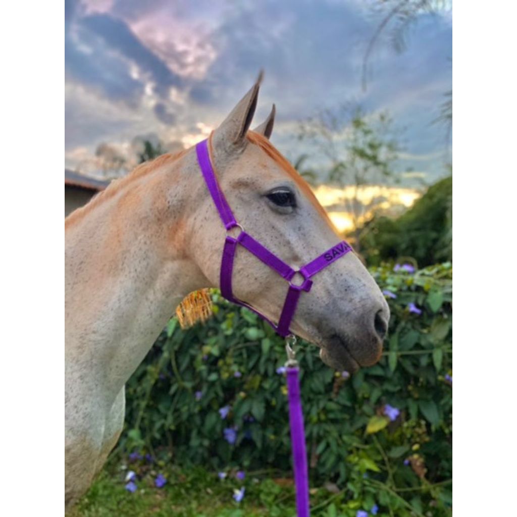 Cabresto Para Cavalo - Escolhe O Nome A Ser Bordado em Oferta na Shopee