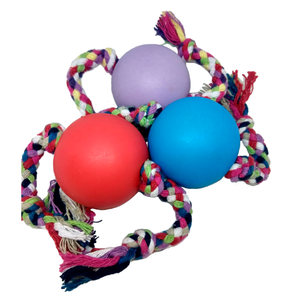Brinquedo Para Cachorro Pet BOLINHA LISA COM CORDA