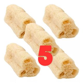 5 Esponjas Bucha Vegetal Natural Limpeza Profunda Esfoliaçao em Oferta na Shopee