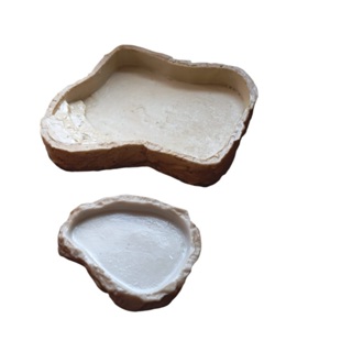 Bebedouro Piscina+comedouro Jabuti Filhote (milk) Bp-2413*ka em Oferta na Shopee