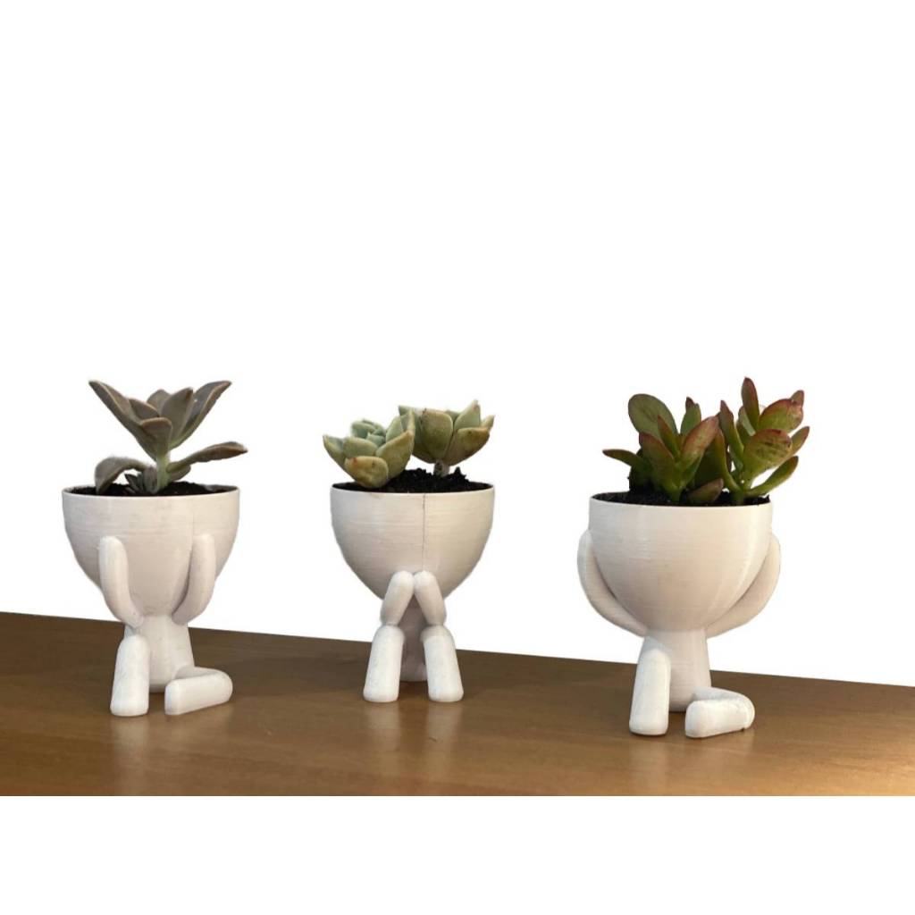 Kit 3 Vaso de Planta Decorativo Robert Plant Cego, Surdo e Mudo