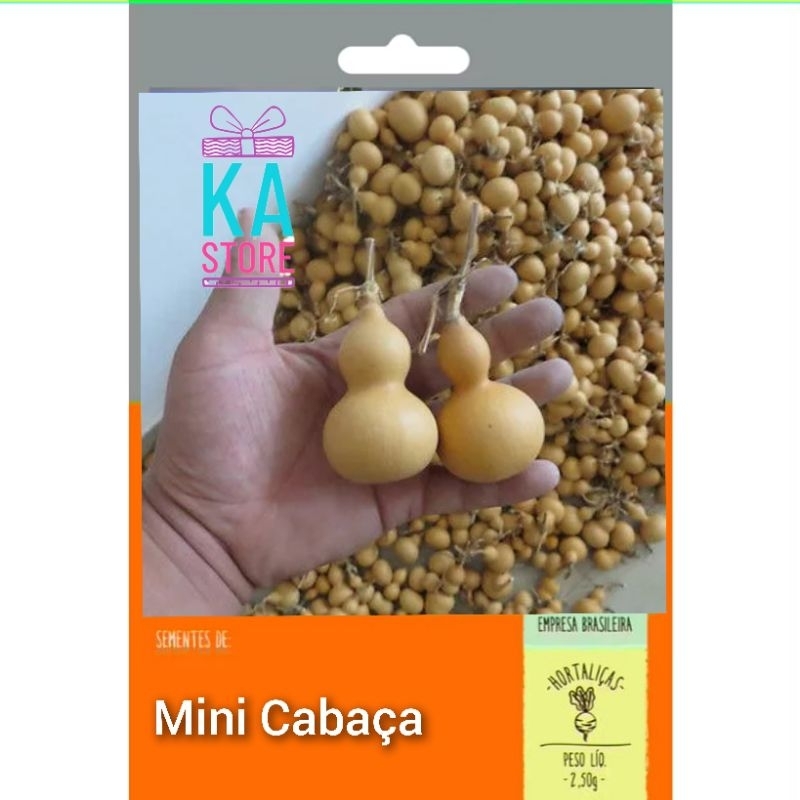 sementes de Mine cabaça pra artesanato