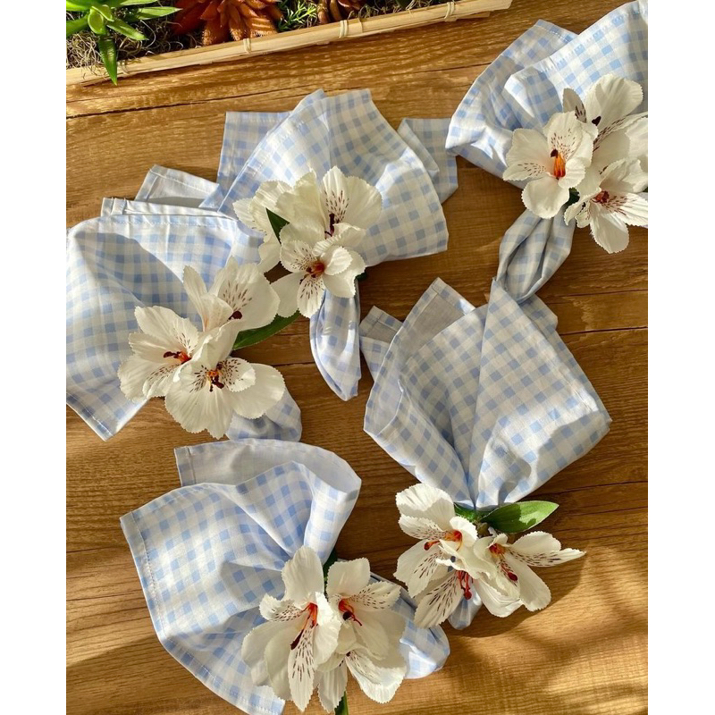 Astromelia Branca: Onde Comprar | BuscaProdutos