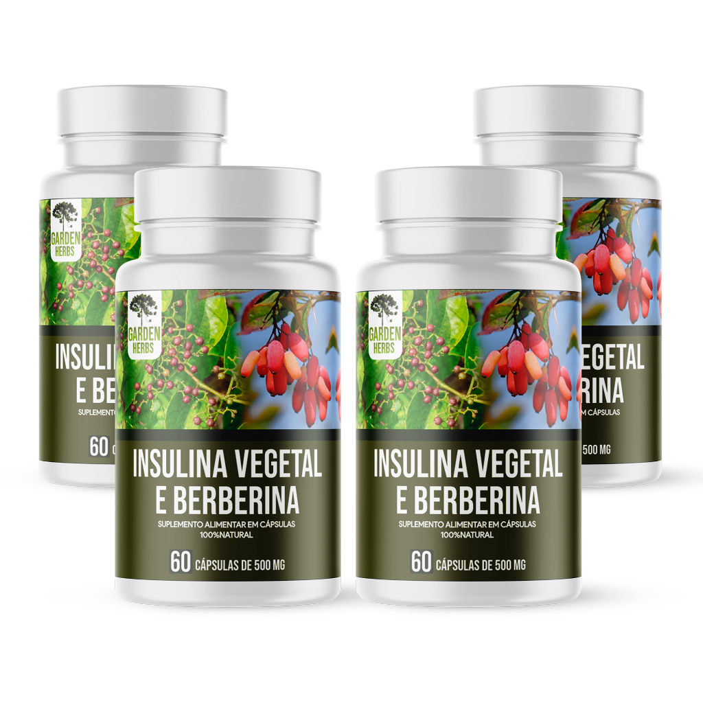 Berberina e Insulina (100% Pura) 60 Cápsulas - 500 Mg - Kit 4 Unidades