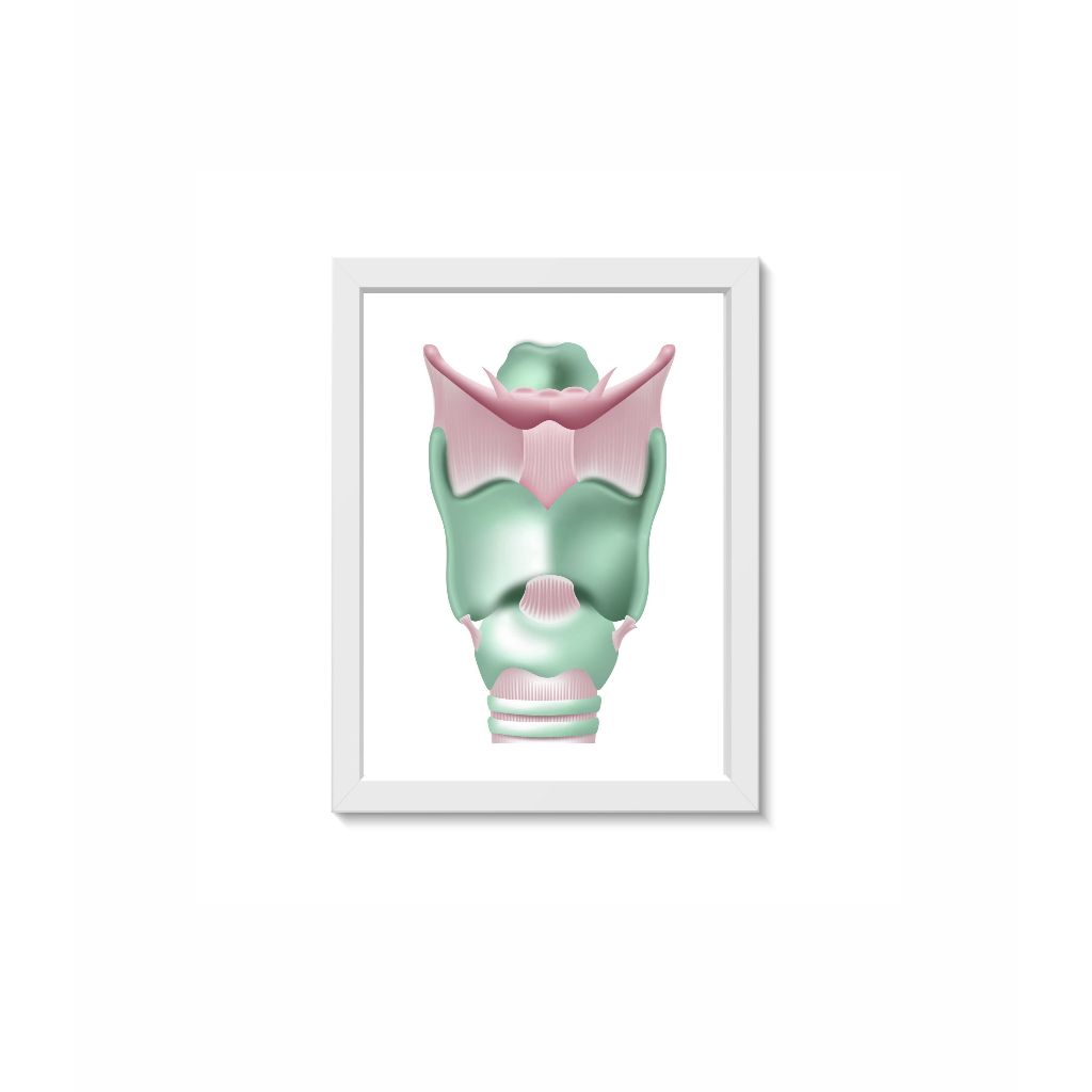 Quadro Decorativo Laringe Otorrinolaringologia Medicina Consultório Clínica Moldura 30x40cm Madeira Vidro Branca
