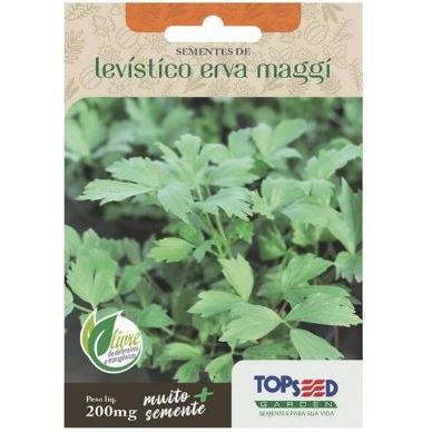 Sementes Do Levístico Erva Maggi