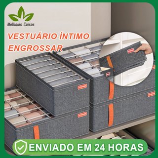Caixa De Armazenamento De Roupas Íntimas Para Meias Compartimentos De Gaveta Caixas De Classificação em Oferta na Shopee