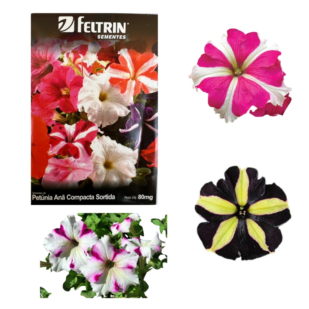 Até 3000 Sementes de Petúnias Sortidas - Feltrin