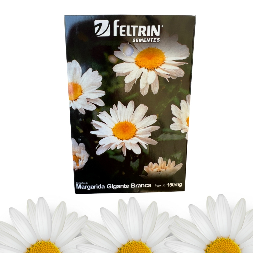 Até 300 Sementes de Margaridas Gigante Branca - Feltrin em Oferta na Shopee