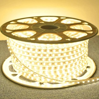 1 a 10 Metros Fita Mangueira Led 5050 Branco Frio/Quente 110v/220v de + Rabicho em Oferta na Shopee