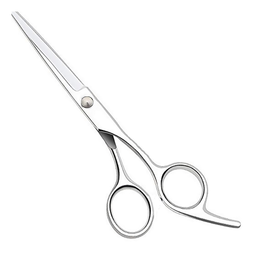Tesoura Cabeleireiro Profissional Fio Laser 6.5 Polegadas Aço Inoxidável Barbearia e Salão em Oferta na Shopee