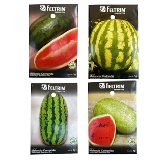 50 Sementes de Melancia Gigante 4 Tipos - Feltrin em Oferta na Shopee