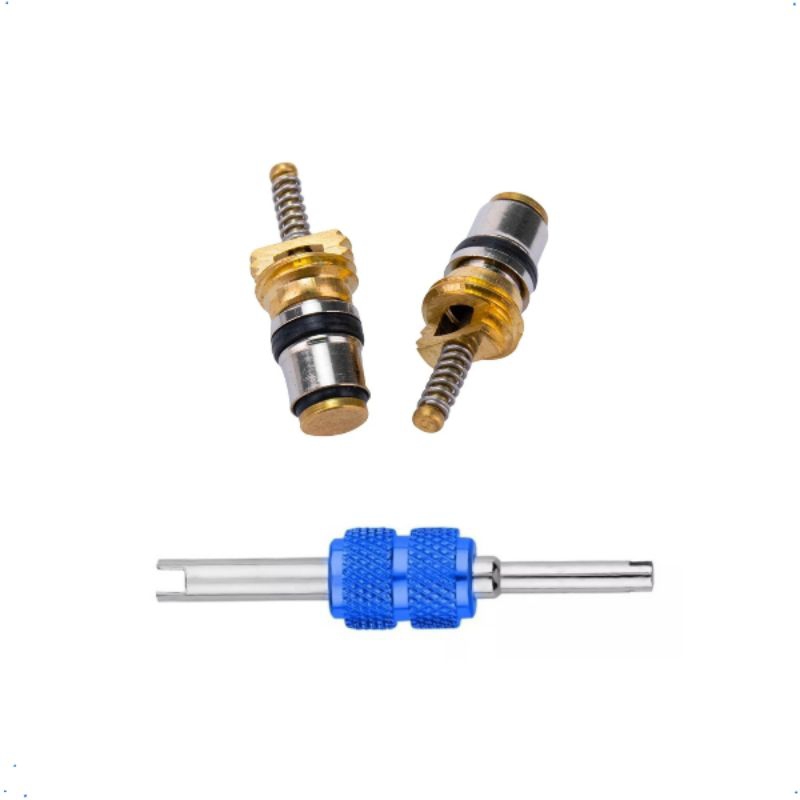 Válvulas Ar Condicionado Renault Clio Logan Sandero Duster Oroch + Ferramenta saca válvulas