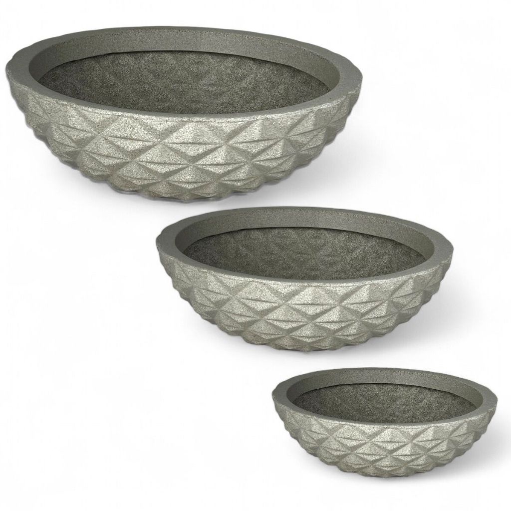 Bacia Gigante para Plantas: Onde Comprar | BuscaProdutos